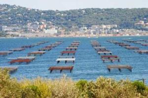 Campings Camping 4 etoiles - Piscine - ccaffbg : photos des chambres