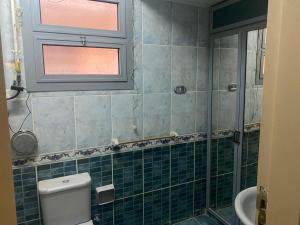 Cozy family apartment three bedrooms in heart of Cairo