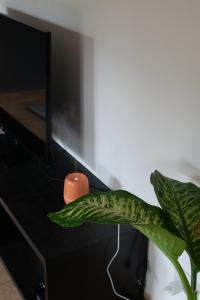 MDapartment Roma - metro Laurentina