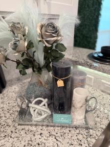 Vibrant Central HTX Vibes - NRG, Med-Center, TSU