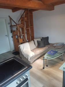 Im Harzer Vogelnest Meisennest