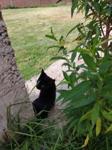 Hotel House in Perú 2