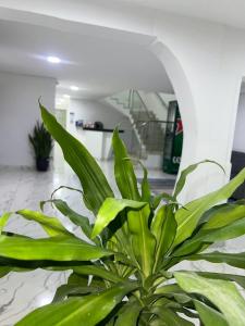 Lago Hotel Cartagena