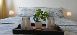 Mikes Place at Marina Spatial