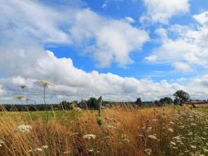 Maisons de vacances Cottage in Dordogne with Accessible Terrace : photos des chambres