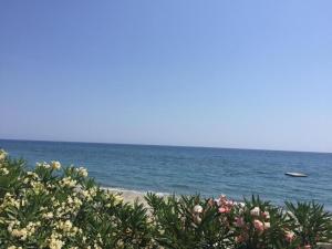 Maisons de vacances Holiday Home in Moriani-Plage near Beach : photos des chambres