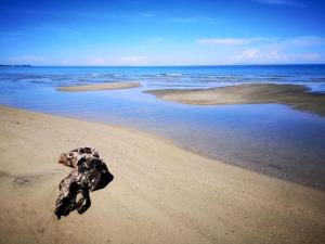 Maisons de vacances Holiday Home in Moriani-Plage near Beach : photos des chambres