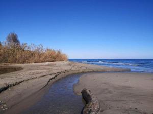 Maisons de vacances Holiday Home in Moriani-Plage near Beach : photos des chambres