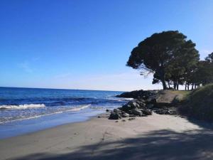 Maisons de vacances Holiday Home in Moriani-Plage near Beach : photos des chambres