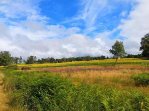 Maisons de vacances Cottage in France with Private Terrace : photos des chambres