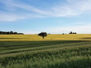 Maisons de vacances Cottage in Chaleix near Forest and Lake : photos des chambres