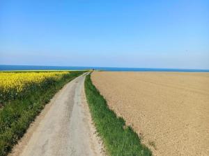 Maisons de vacances Normandy Garden Escape : photos des chambres