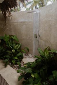 A Rustic, Equatorial Stay - Paci Ahangama