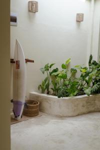 A Rustic, Equatorial Stay - Paci Ahangama