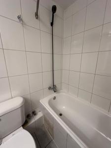 Acogedor departamento en Santiago