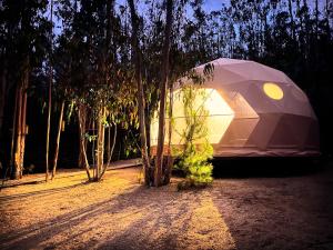 DOMO de Lujo con Tinaja en el Bosque de Tunquen