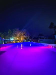 Iglu Nemo cerca de playa