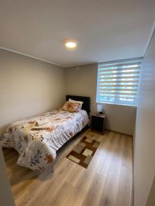 Fully equipped apartment in Valdivia