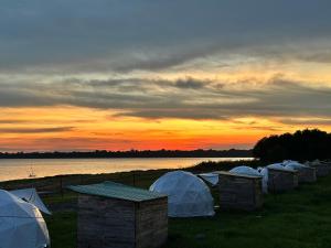 Vivu24h Hồ Dầu Tiếng