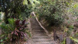 Casa Adobe Finca