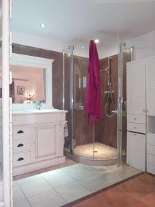 Appartements La Louviere Plaine d-Eygalieres : photos des chambres