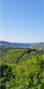 Campings Mobil-home vacances Lozere : photos des chambres