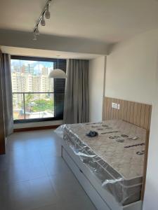 Near the Carnival circuit