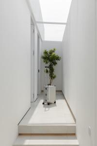 Archestet Villas Canggu