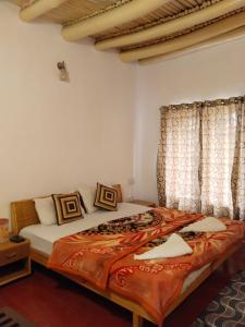 Stanzin Manepa Homestay