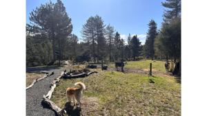 Ruru Tiny House by Tiny Away