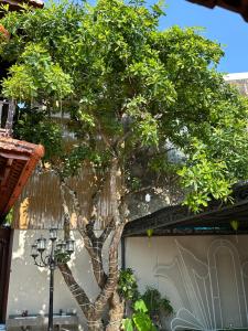 Mai Viên Homestay & Restaurant