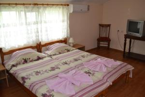Guesthouse Geshevi