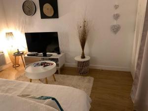 Appartements Appartement charmant a Bagneres-de-Bigorre - 56 m² avec balcon : photos des chambres