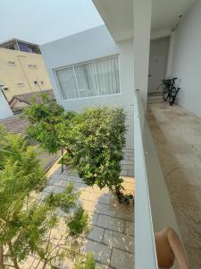 CM Haus Common Haus Minimal house in Chiang Mai