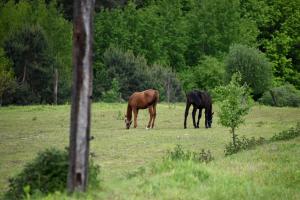 Agroturystyka w Dolinie Raty