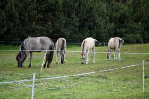 Agroturystyka w Dolinie Raty