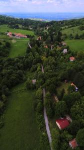 Vila Lipov Hlad Rajac