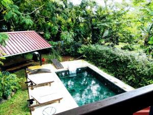 Beautiful Villa with Pool and Amazing Garden