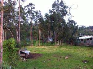 Wayra Hospedaje