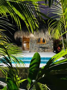 Colibri Parque Tayrona Dentro del Parque Nacional Tayrona