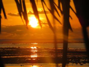 Rote Island Huts