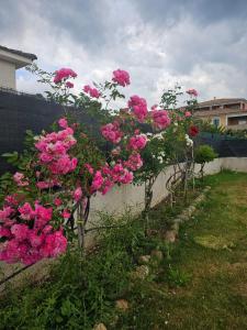 Maisons de vacances Villa et jardin proche de la plage et de Bastia : photos des chambres