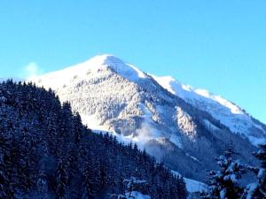 Chalet in Saalbach near Ski Slopes