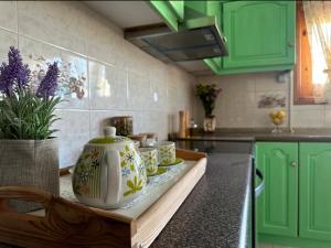 Eleocharis near Amfilochia & Amvrakikos Gulf