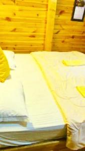 Driftwood Den