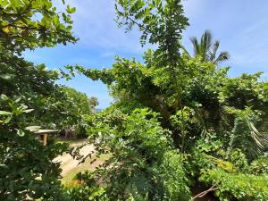 Holiday Beach Guesthouse