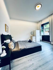 Cozy 1BR Apartment , Quiet & Well-Connected