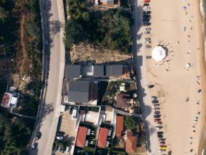 Beach House Flamingo