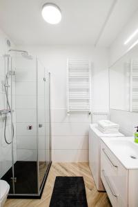 12A Loft Apartment- Modern flat with kitchen and bathroom