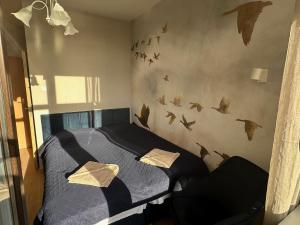 KAMERALNY przy promenadzie - domki, apartamenty, pokoje